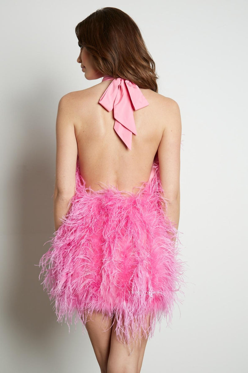 Halter Neck Feather Dress