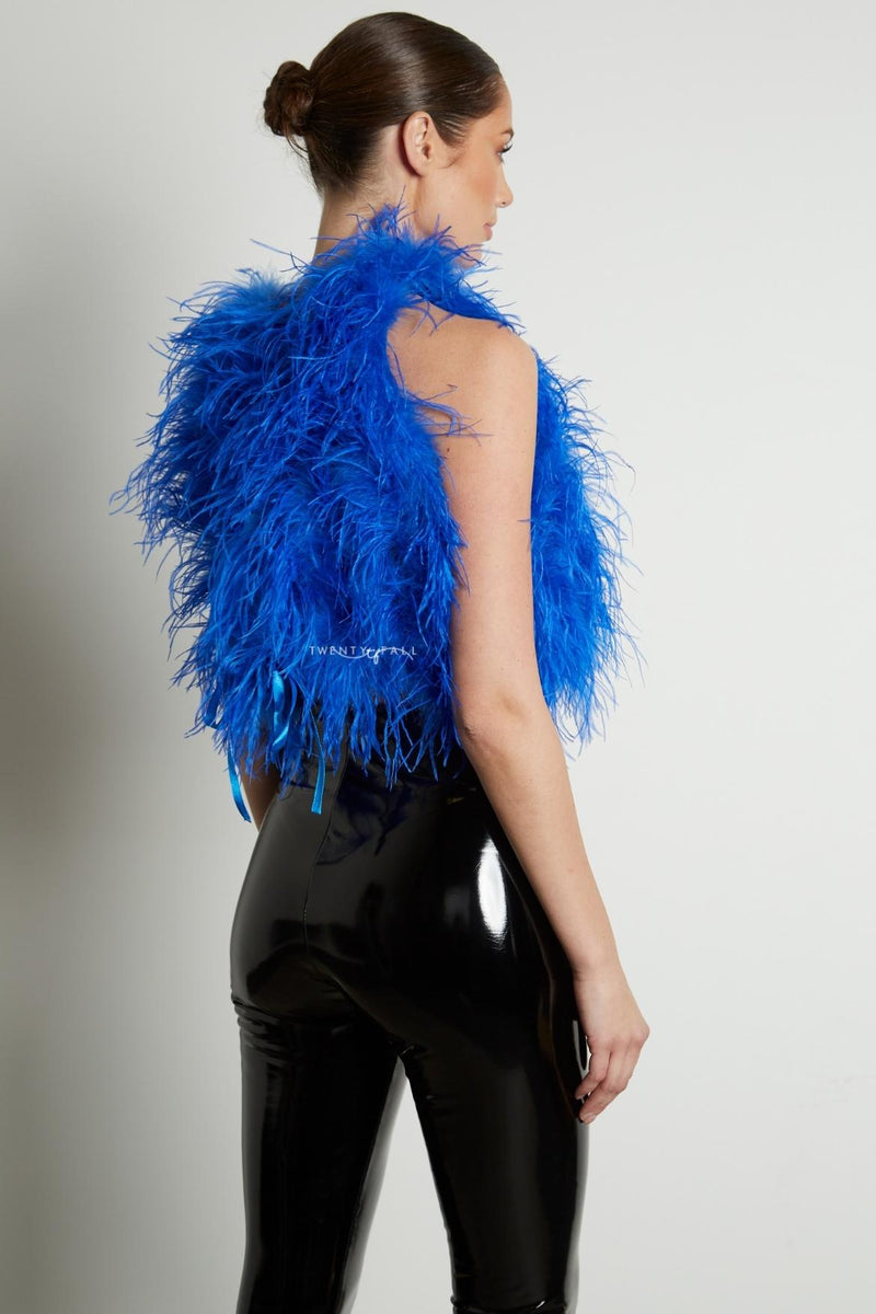 High Neck Feather Top