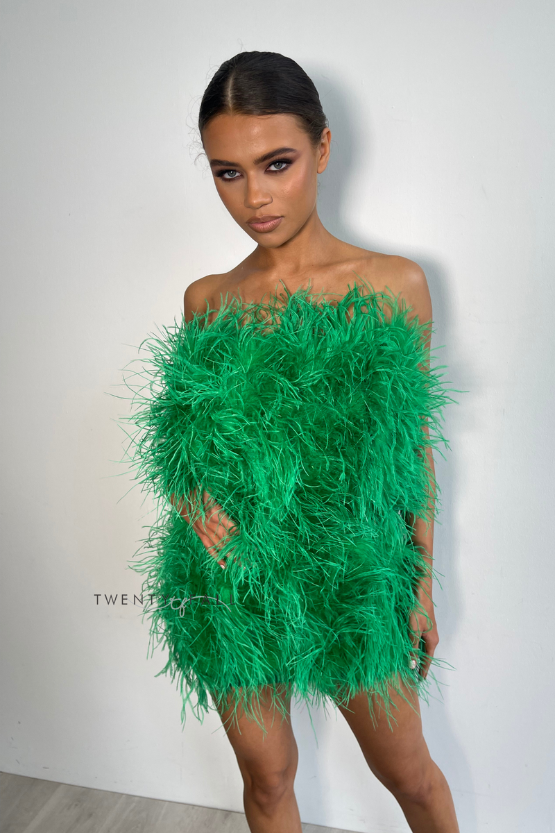 Feather Dress